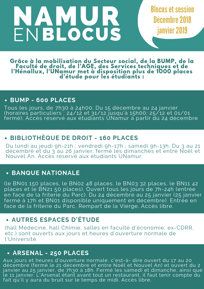 Namur en blocus_Noël2018