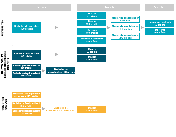 Organigramme études.png